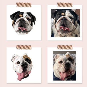 Портрет собаки по фотографии