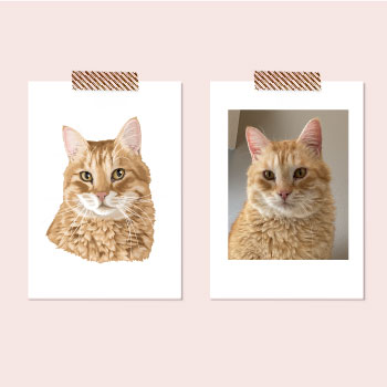 Портрет кота по фотографии