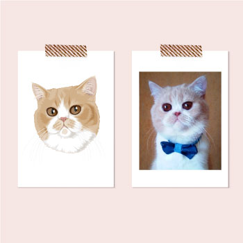 Портрет кота по фотографии