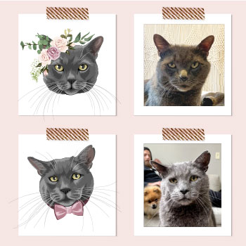 Портрет кота по фотографии