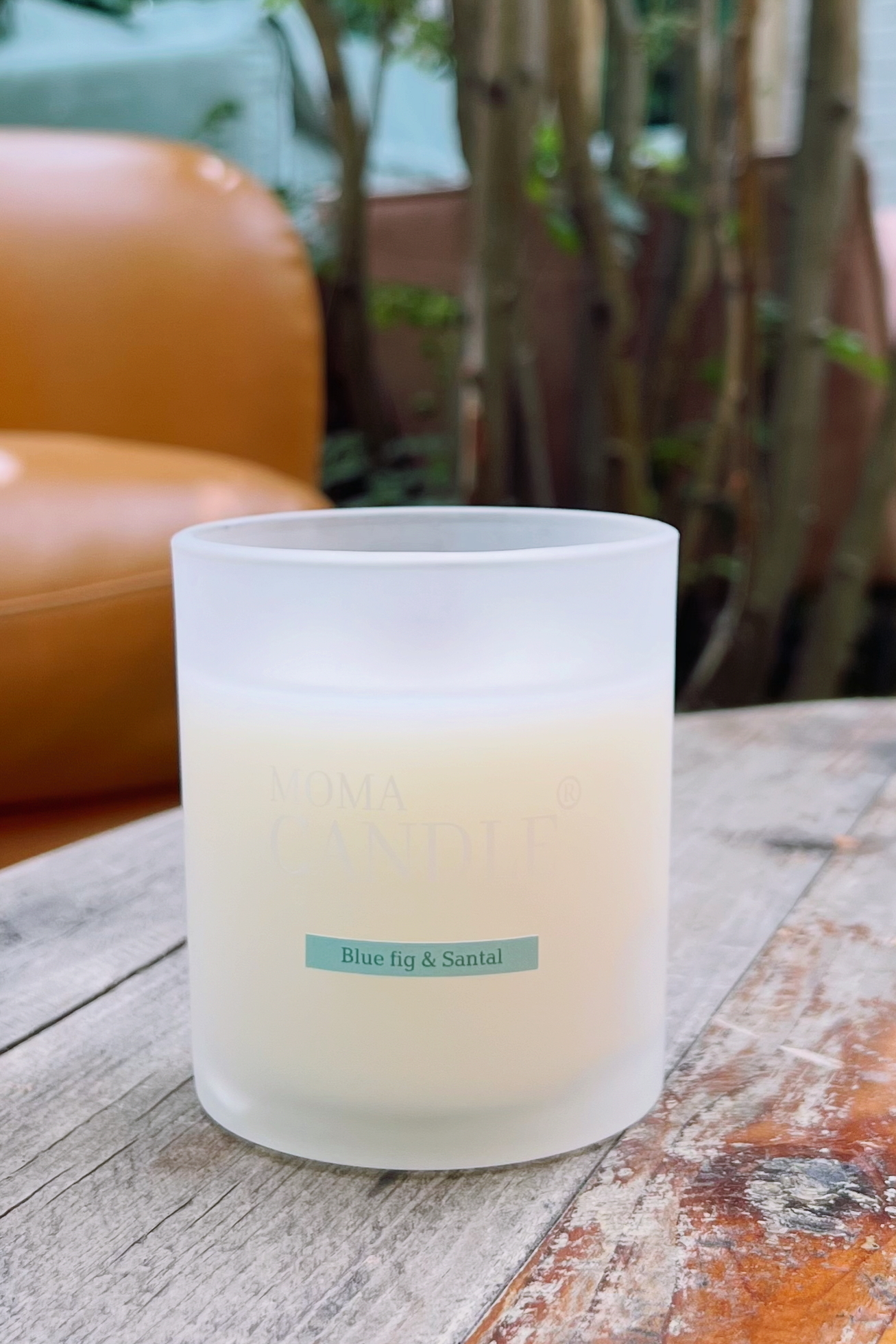 Свеча Blue Fig & Santal в интерьере — древесный аромат инжира и сандала