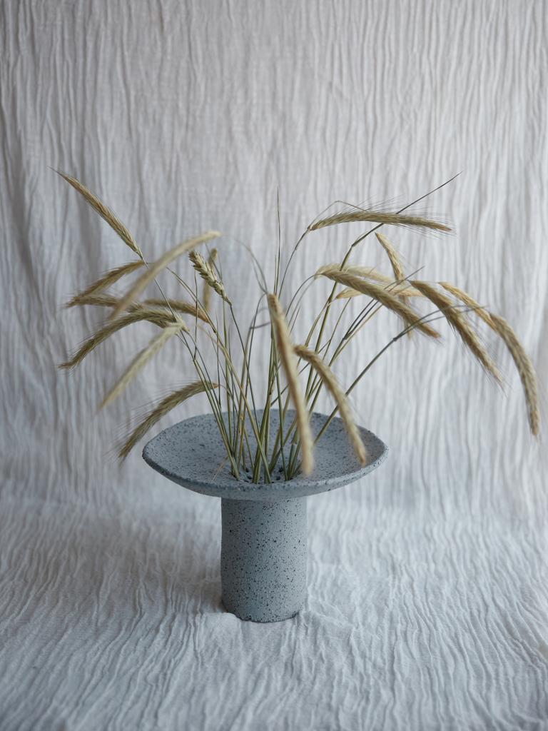 Ваза-кензан