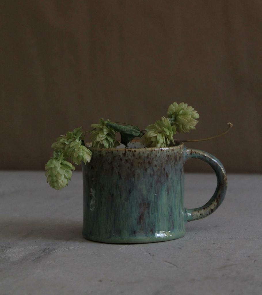 Кружка «Поле Алтая»