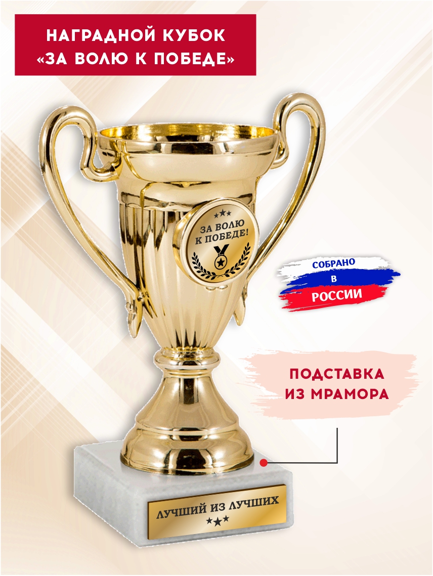 Наградной кубок "За волю к победе"