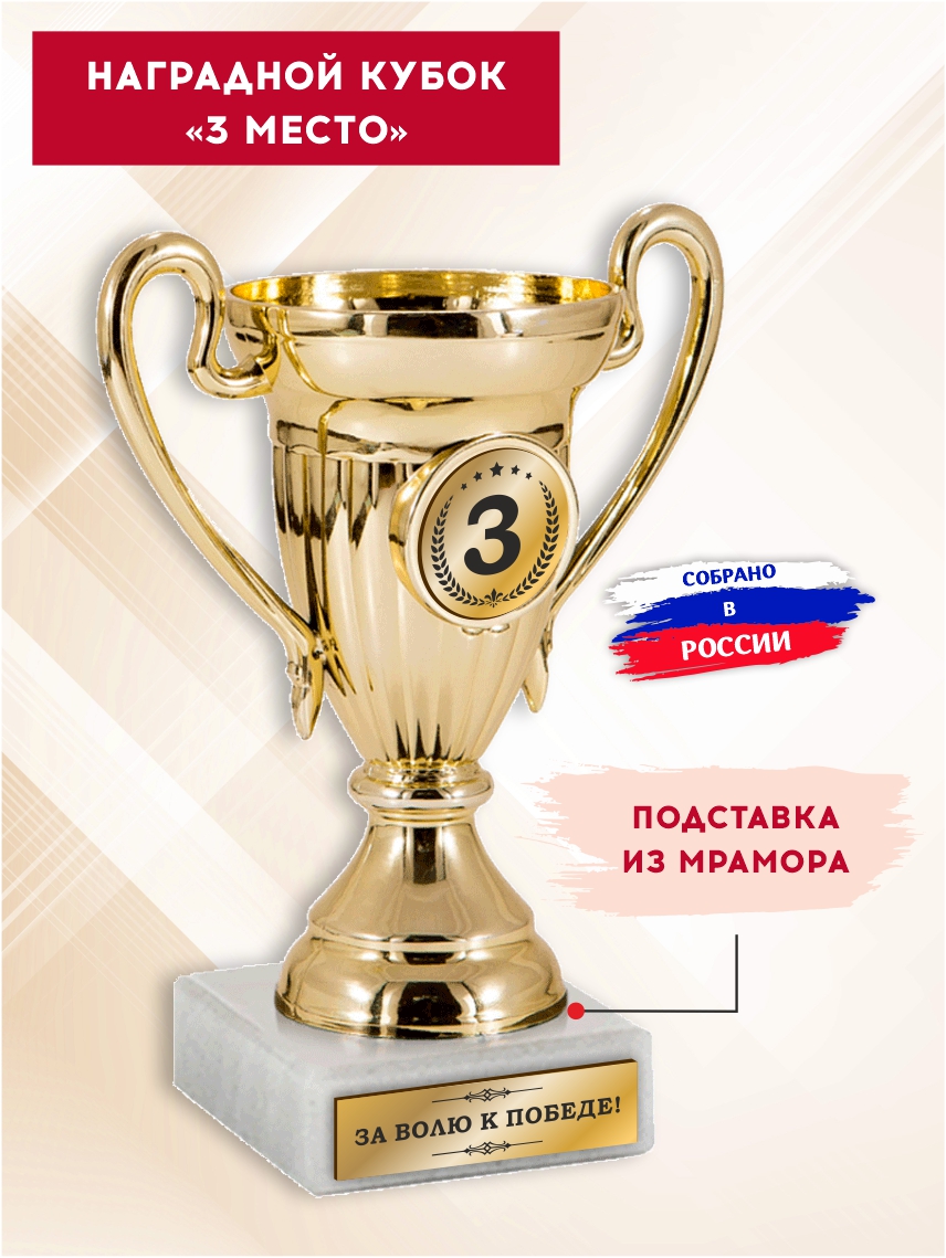 Наградной кубок "3 место"
