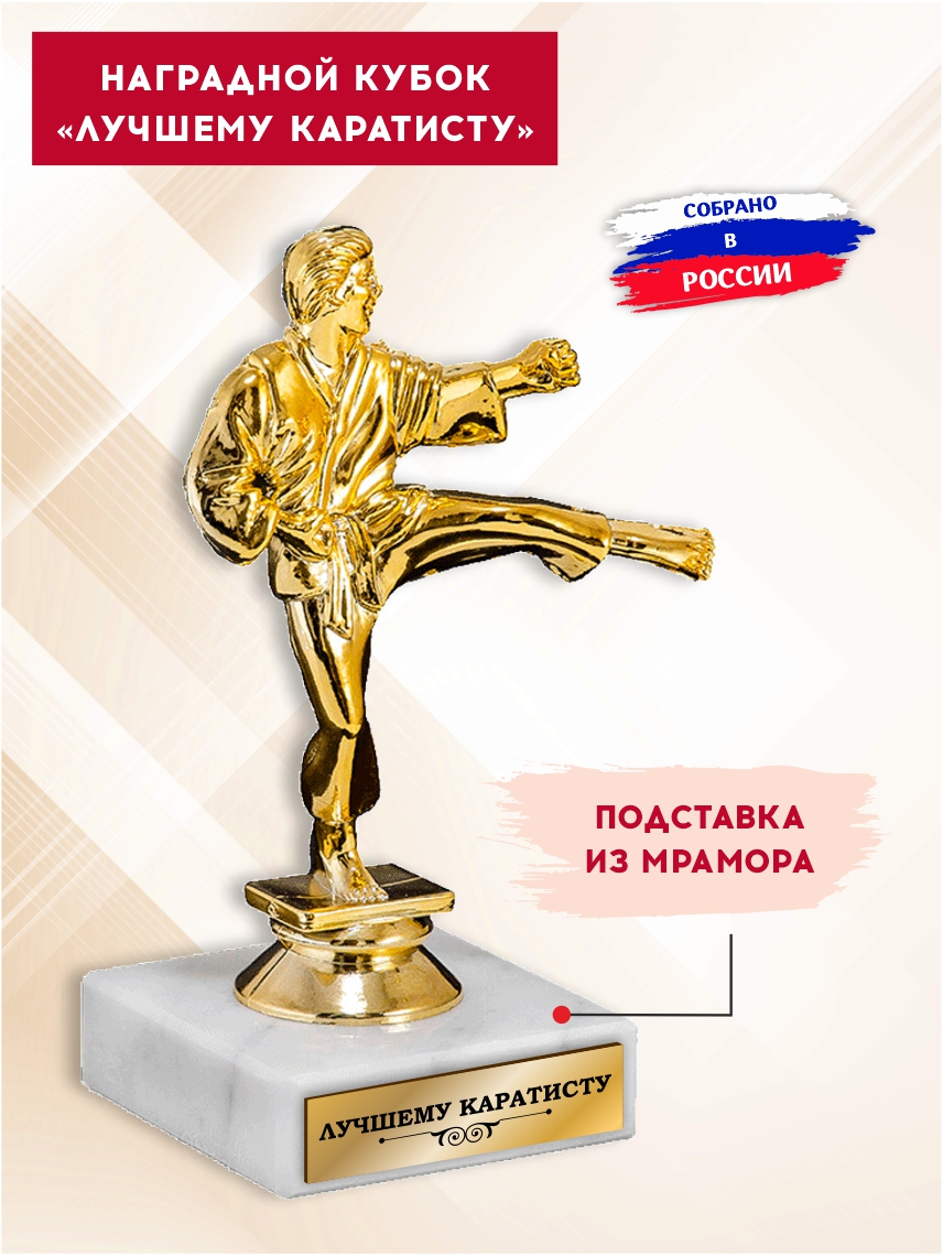 Наградной кубок "Лучшему каратисту"