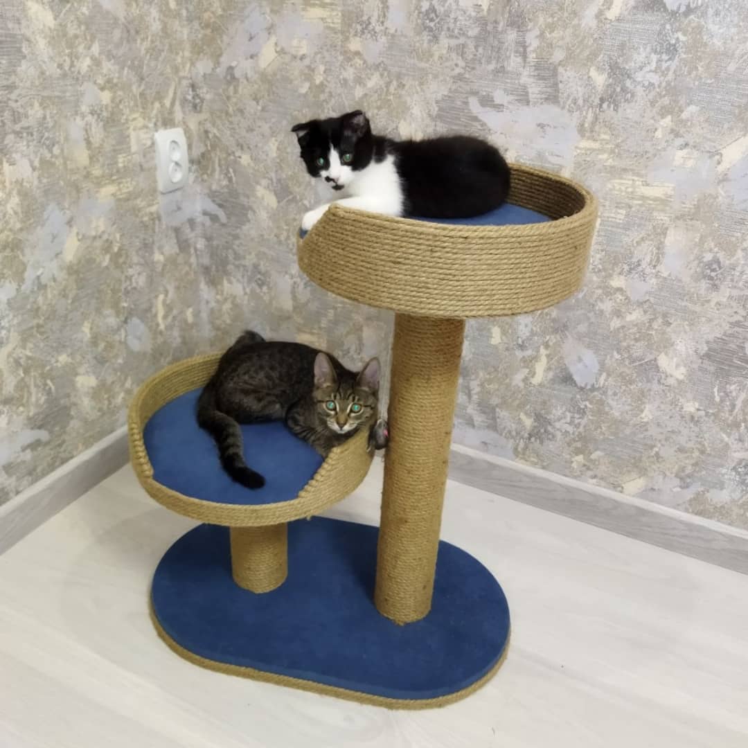 Когтеточка IvPet Две лежанки