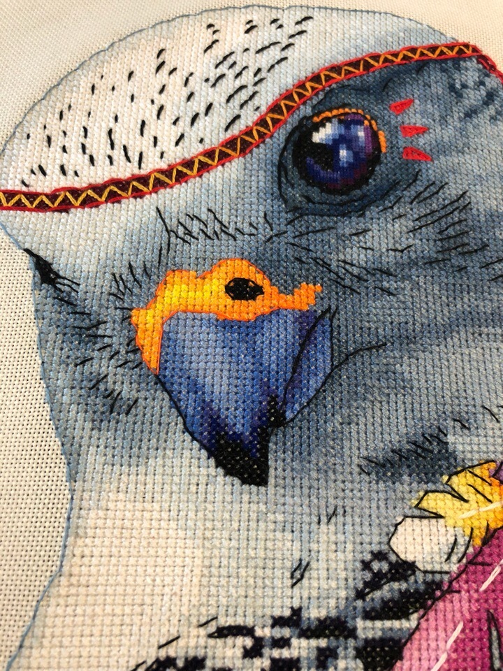 Gikavka Astridni sikadi