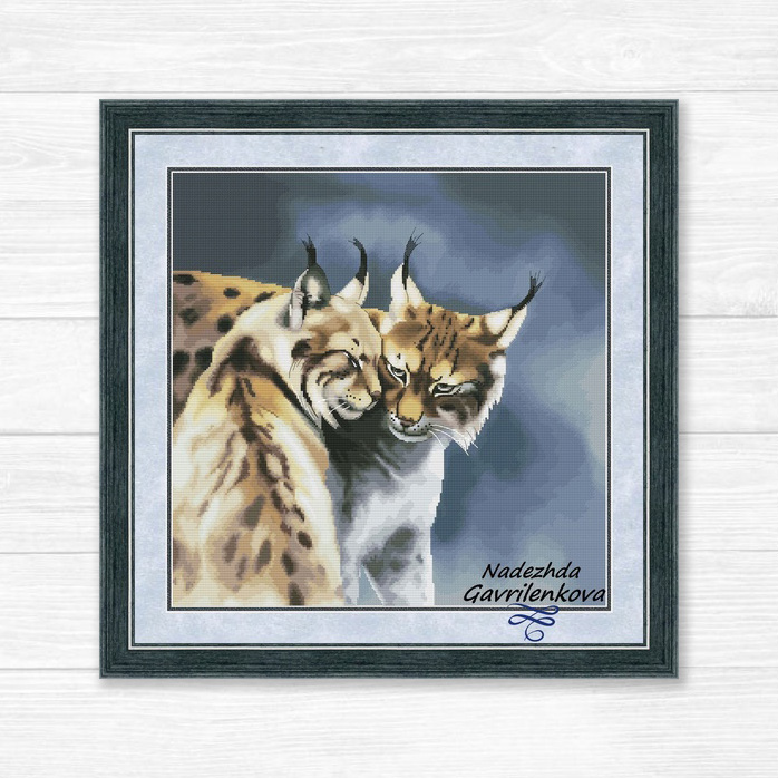 Дикие кошки. Рыси