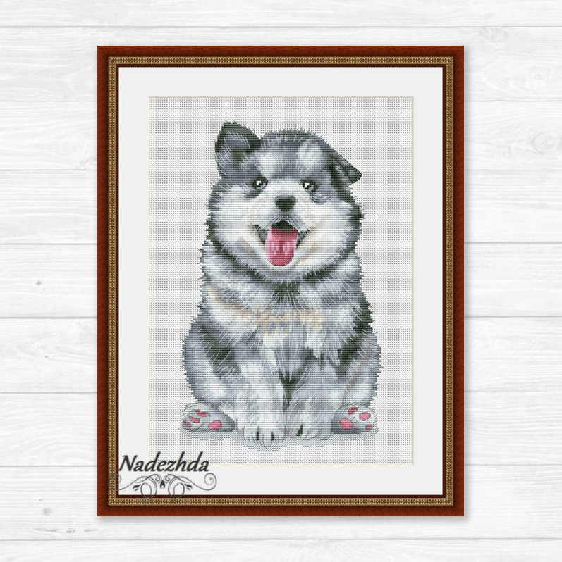 Щенок хаски