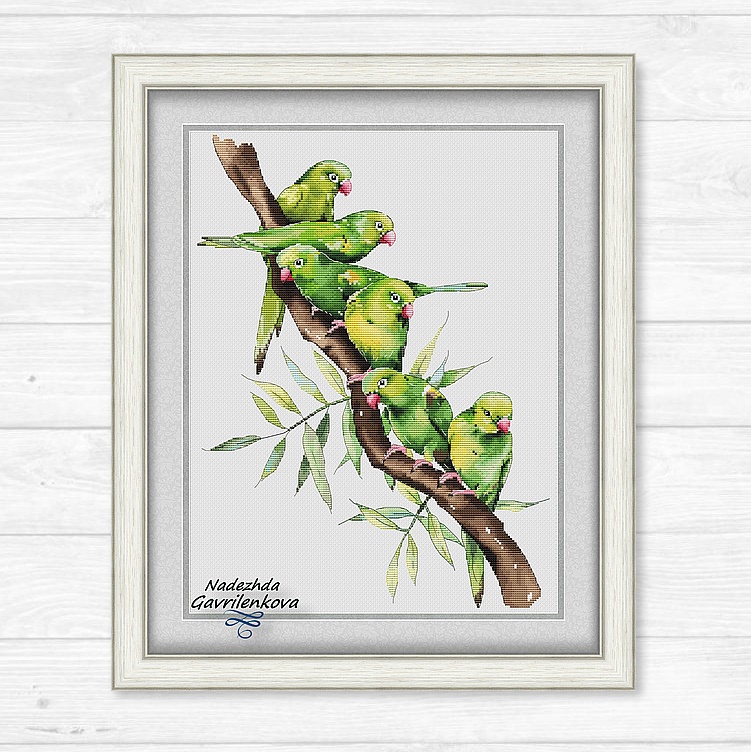 Пернатые друзья