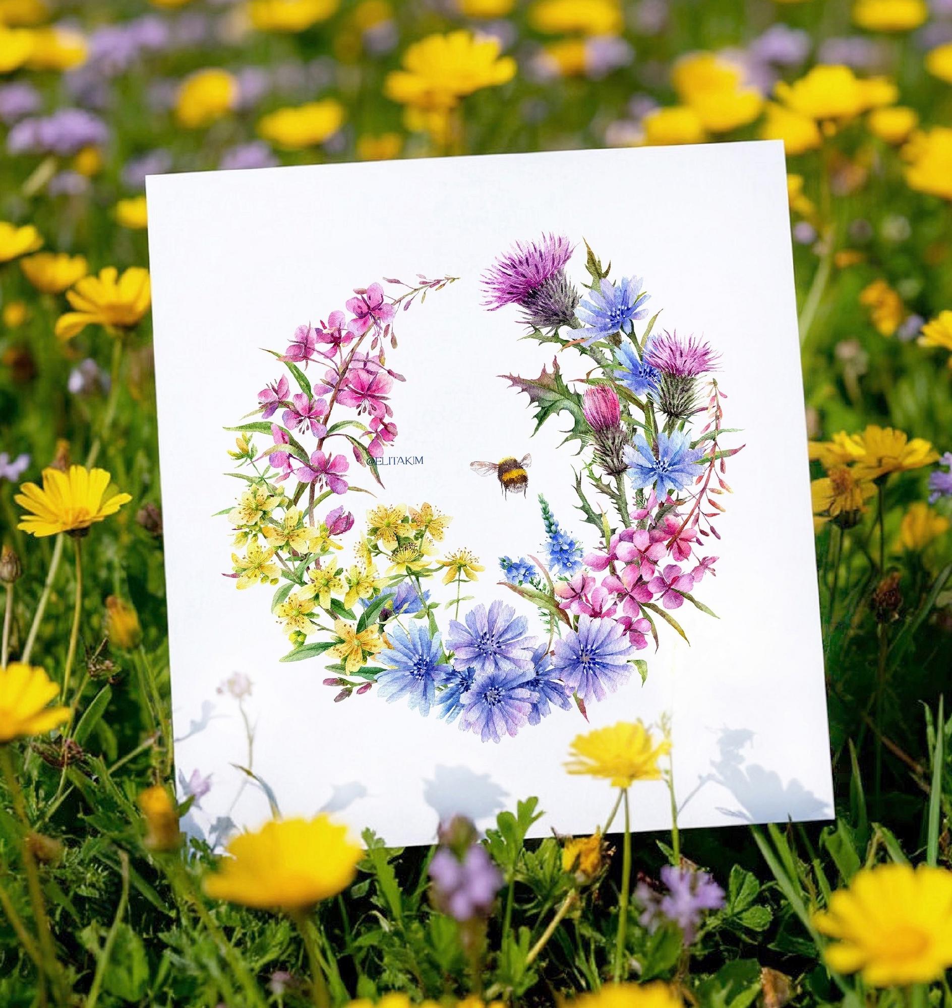 Луговой венок