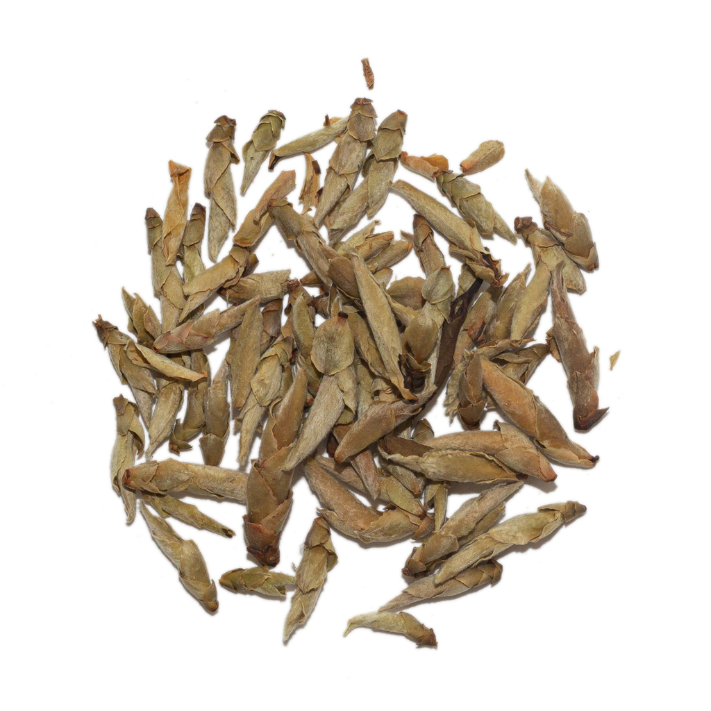 Молодые пуэрные почки с диких деревьев Я Бао