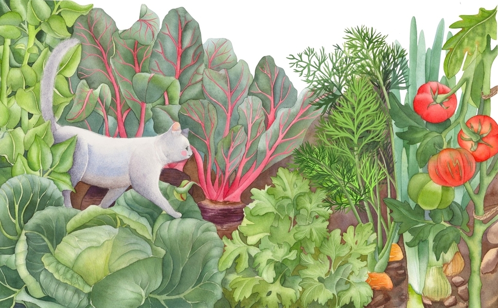 Открытка "Кот капустный"