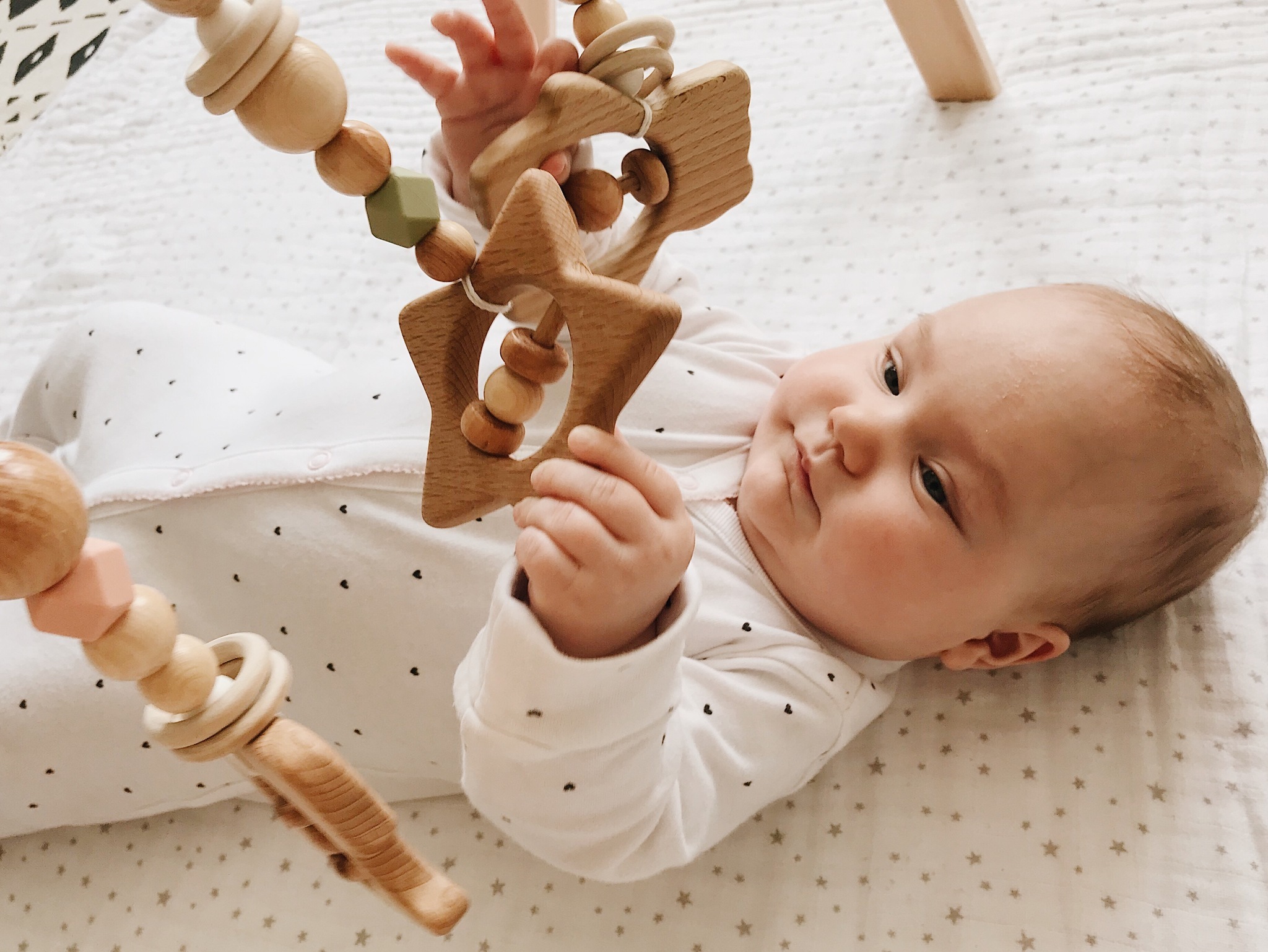 Gym Toys  (tree rattles)