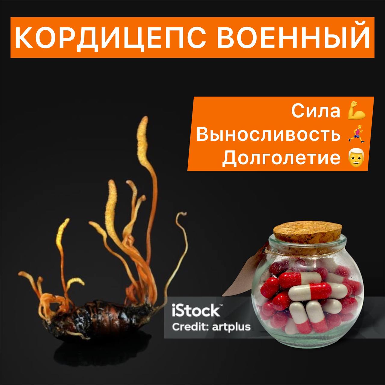 Кордицепс военный. Микродозинг. 60 шт. Х 0,5 гр.