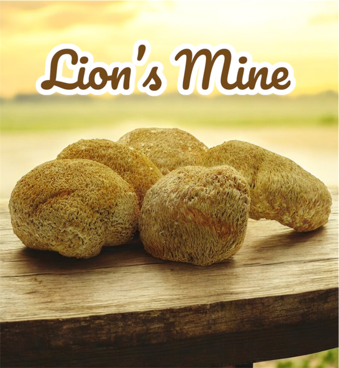 Ежовик гребенчатый