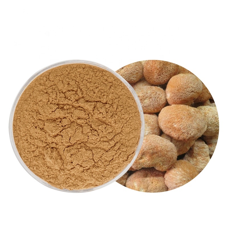 Экстракт ежовика 10:1