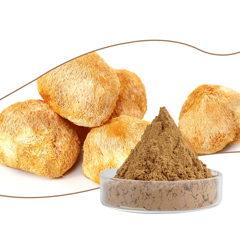 Экстракт ежовика 10:1