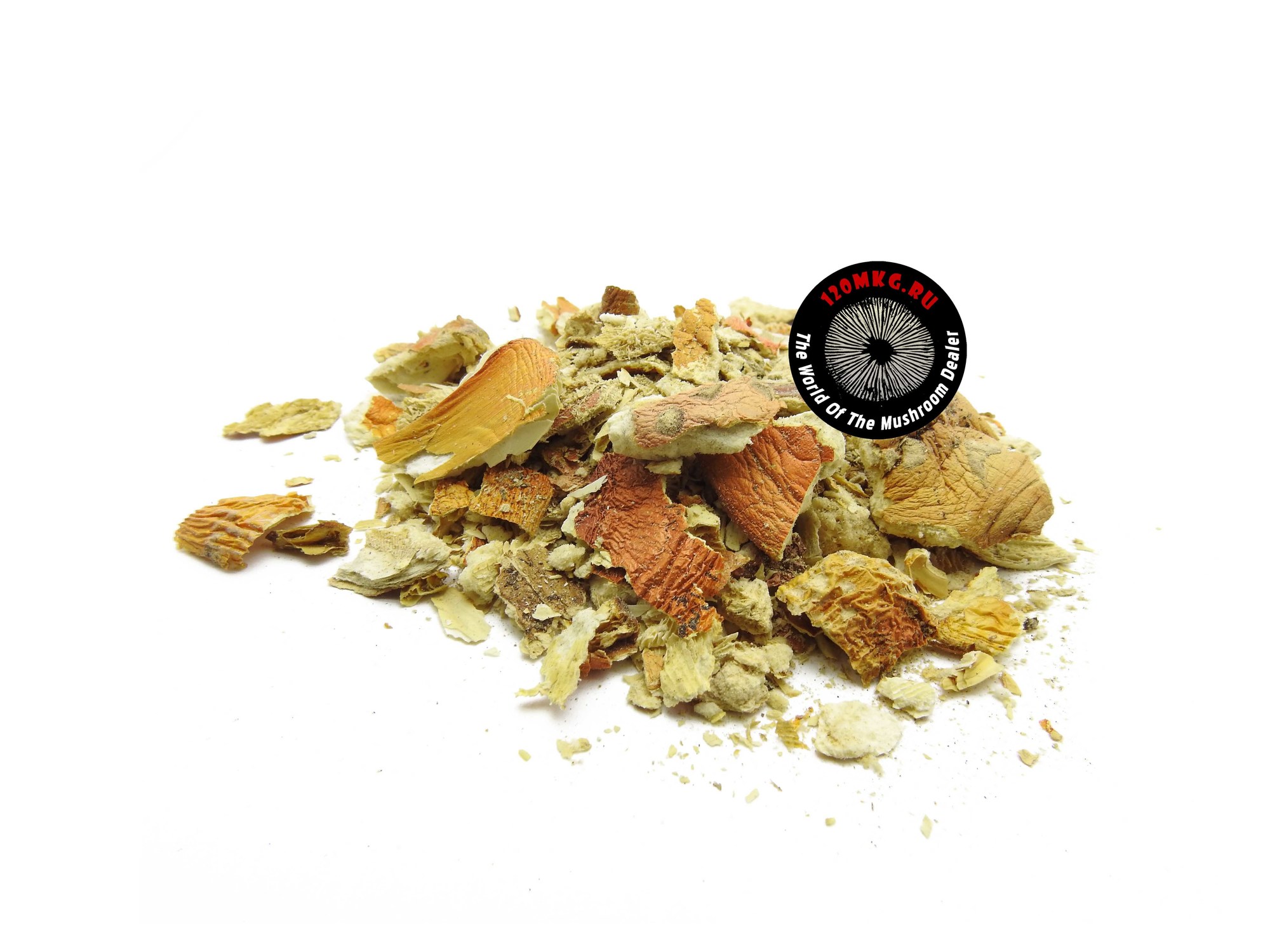 Мухомор красный крошка