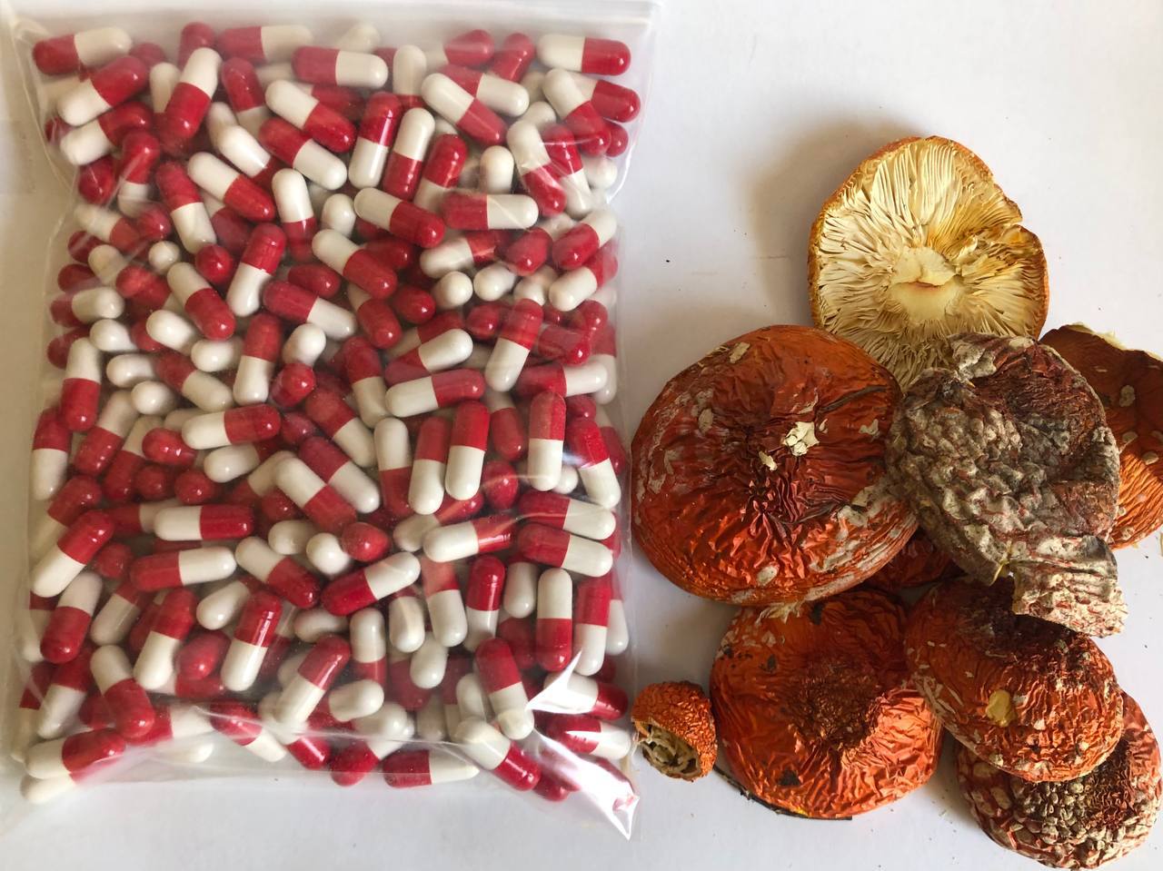 300 капсул красного мухомора