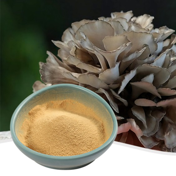 Экстракт мейтаке