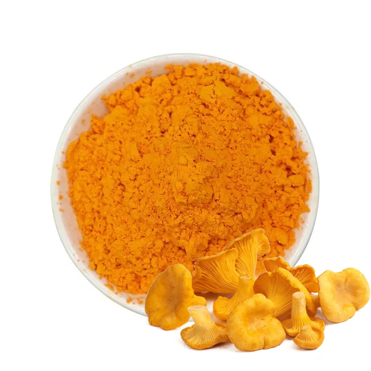 Экстракт лисички