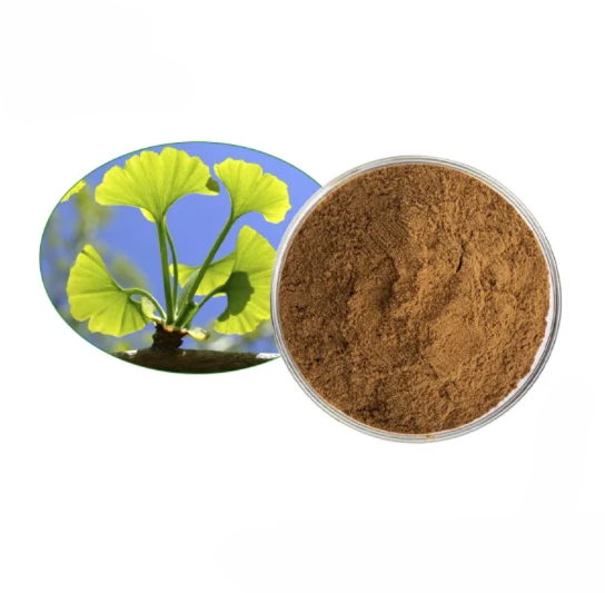 Гинкго билоба экстракт