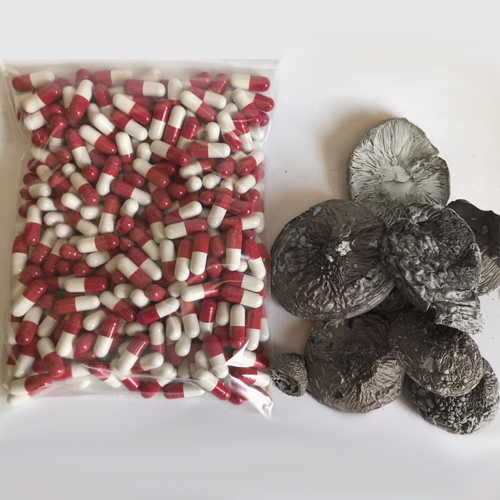 Микродозинг пантерного мухомора