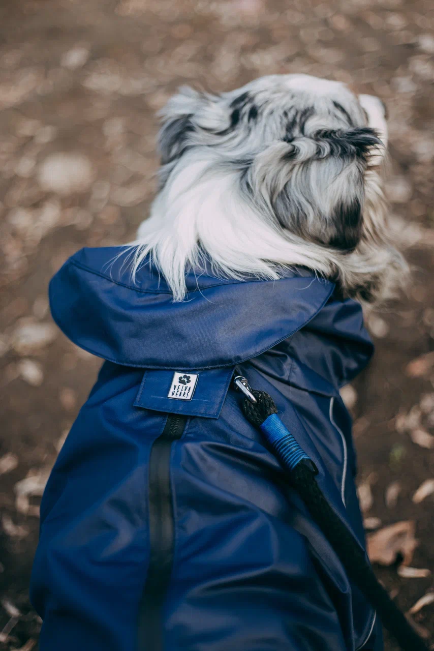 Синий комбинезон "EXPLORER"