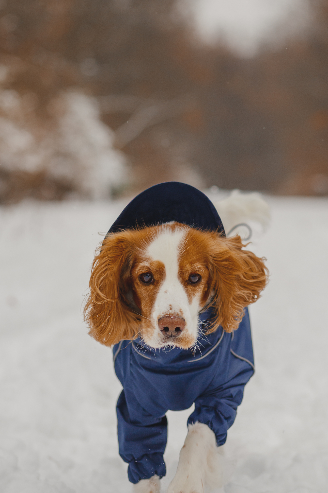 Синий комбинезон "EXPLORER"