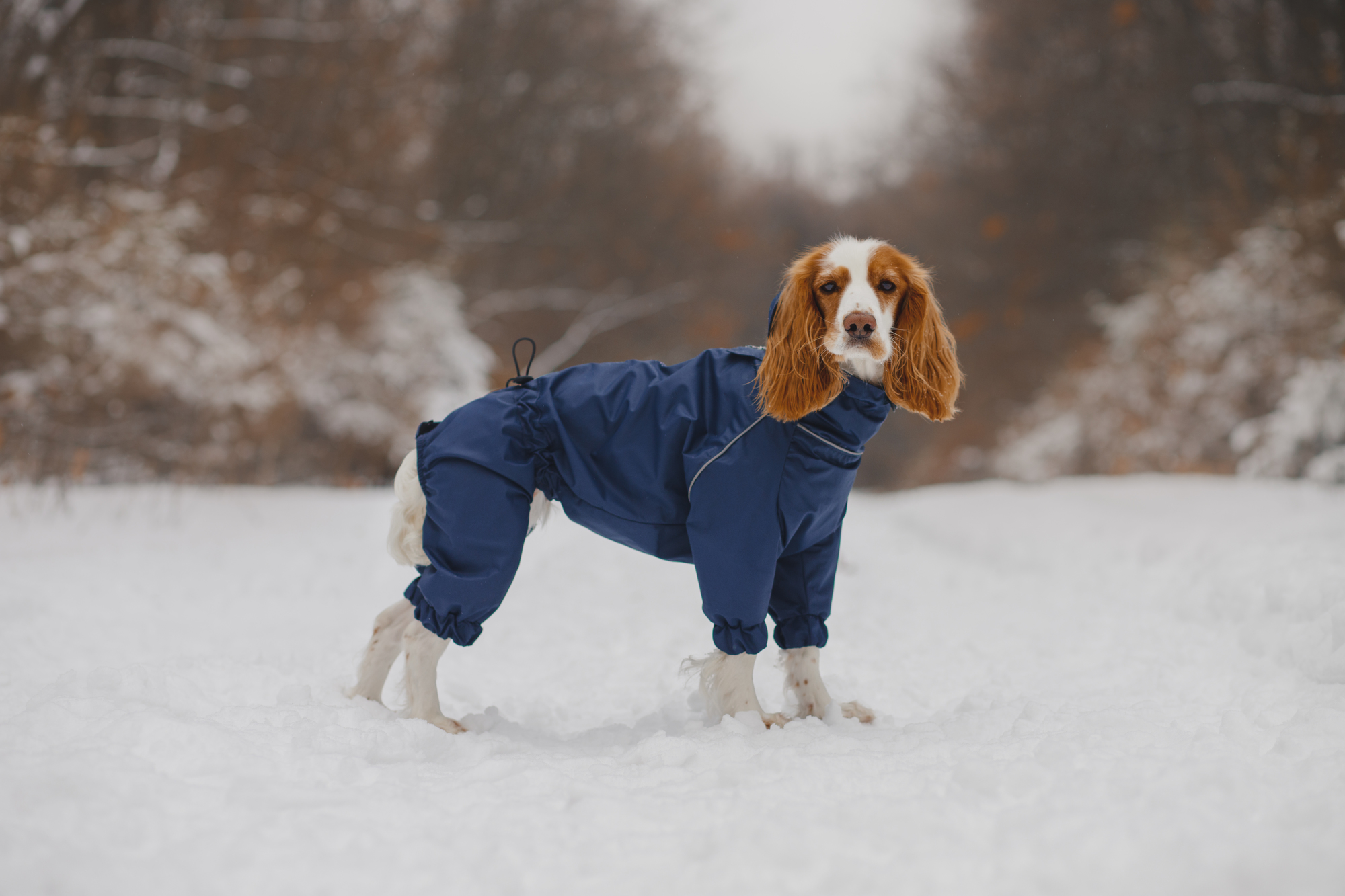 Синий комбинезон "EXPLORER"