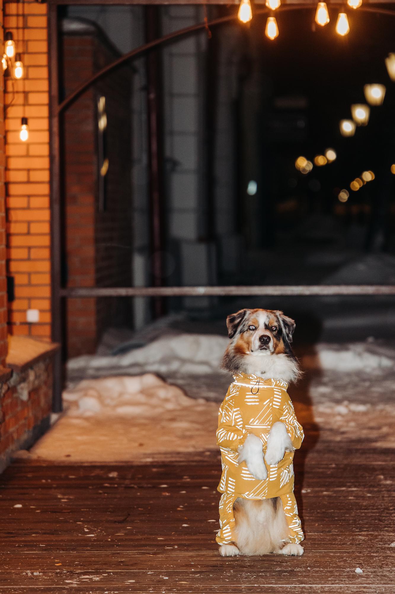 Комбинезон горчичный "EXPLORER" REFLECTIVE