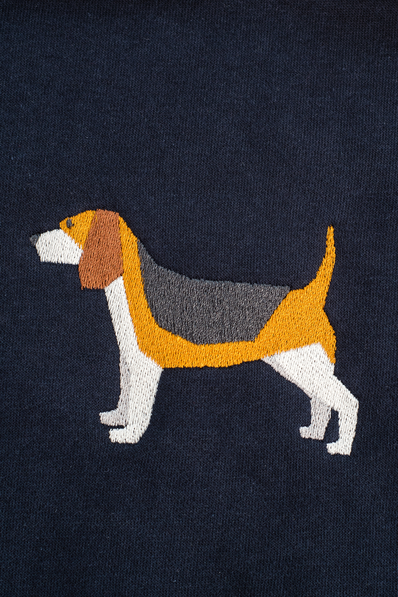 Beagle sapphire hoodie