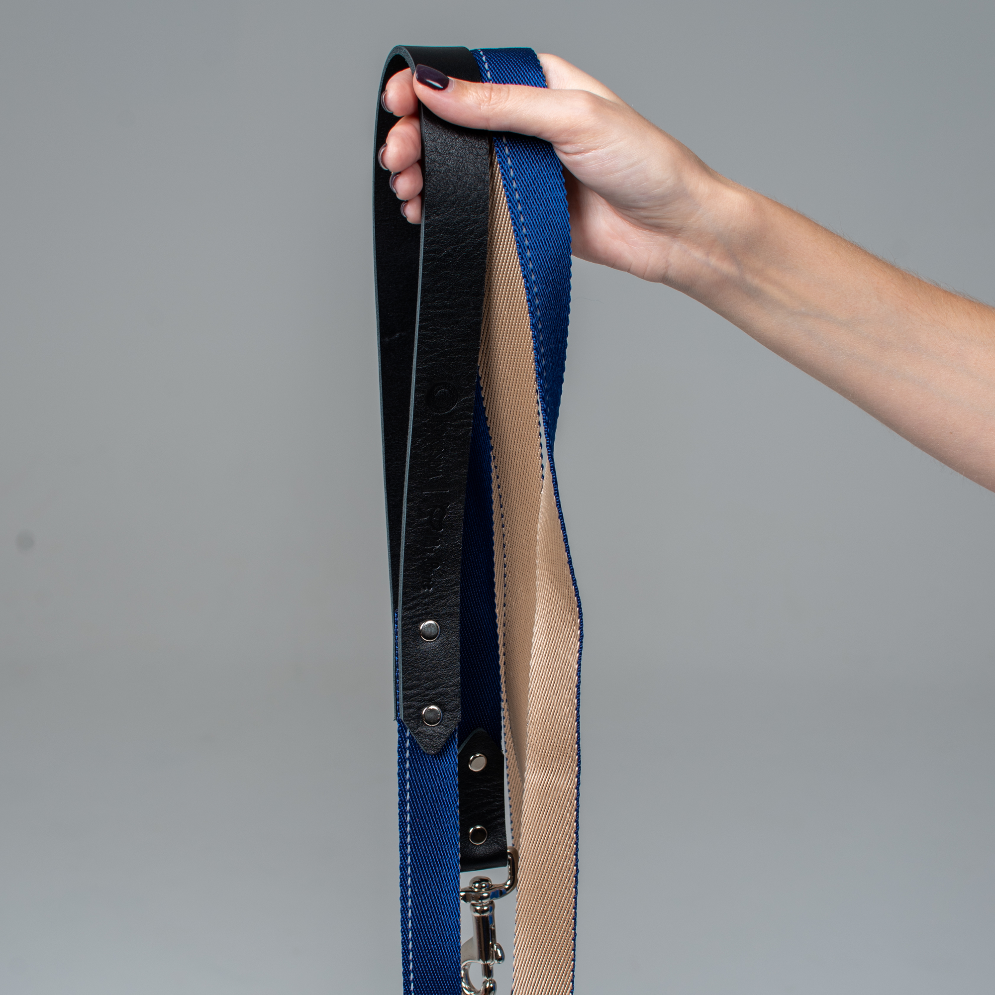 Sapphire and beige strap leash with a leather handle