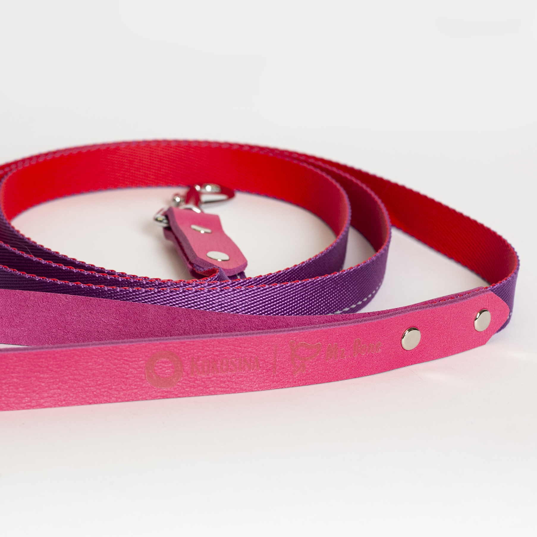 Ruby and purple strap leash with a leather handle