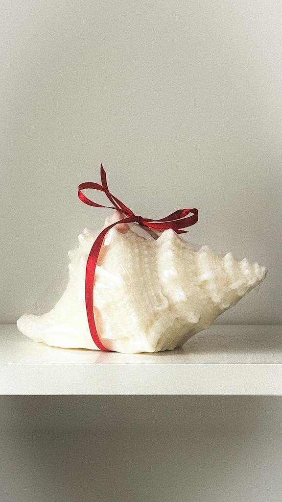 Свеча / SEASHELL