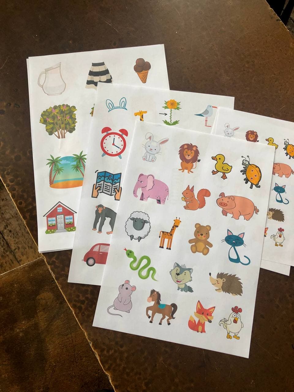 Русский в картинках