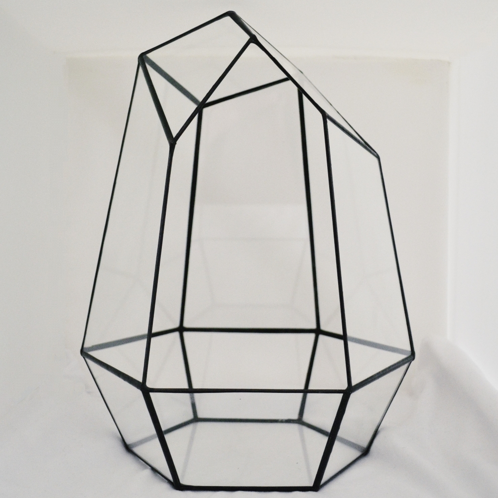 Флорариум Орхидариум купить в Санкт-Петербурге