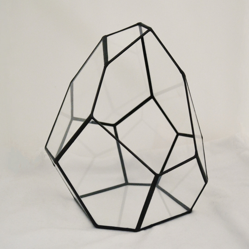 Флорариум Яйцо дракона купить в Санкт-Петербурге