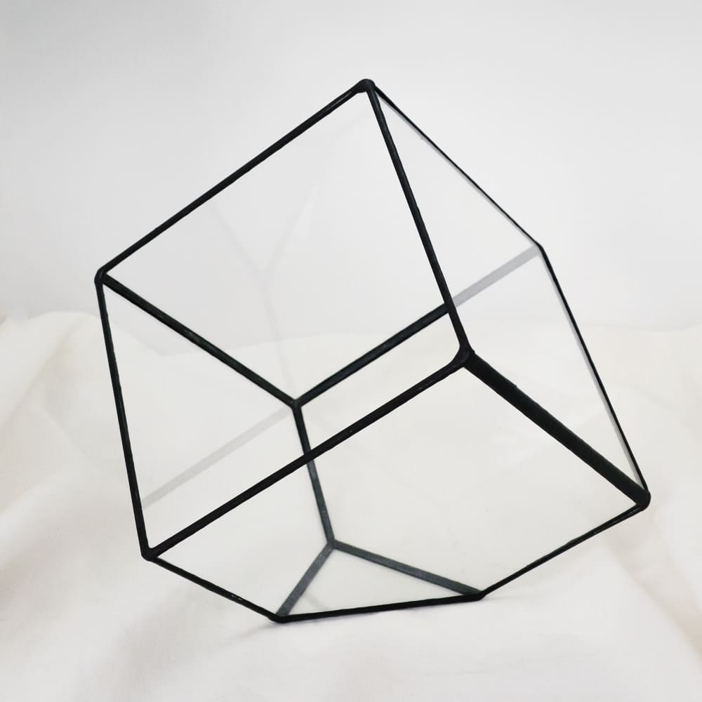 Купить набор стекл для флорариума от производителя LensFill недорого