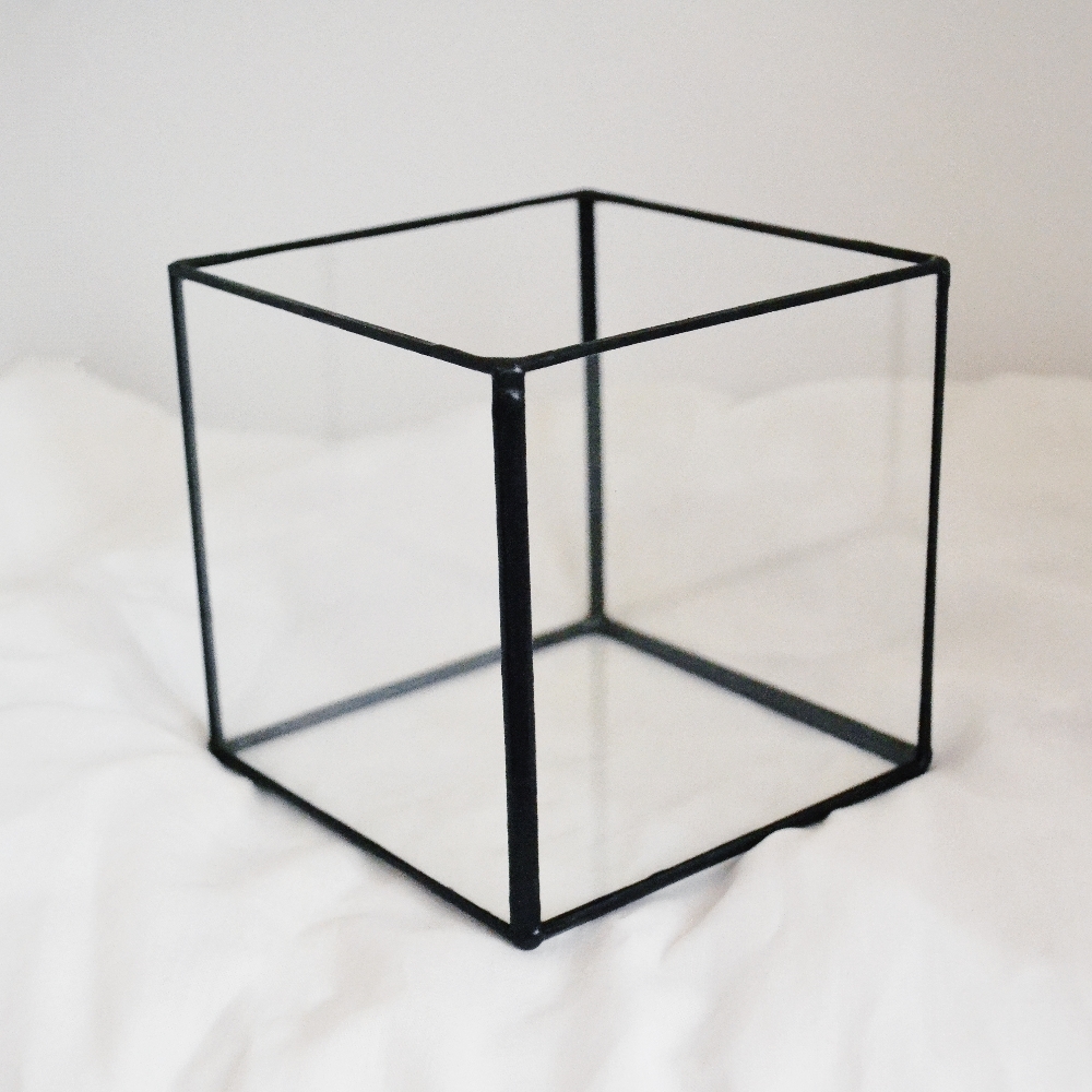 Купить набор стекл для флорариума Кубик от производителя LensFill