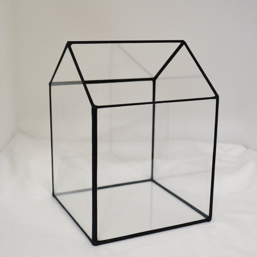 Купить набор стекл для флорариума Домик от производителя LensFill