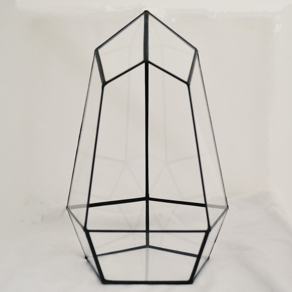 Купить набор стекл для флорариума Ватикан от производителя LensFill недорого в СПб