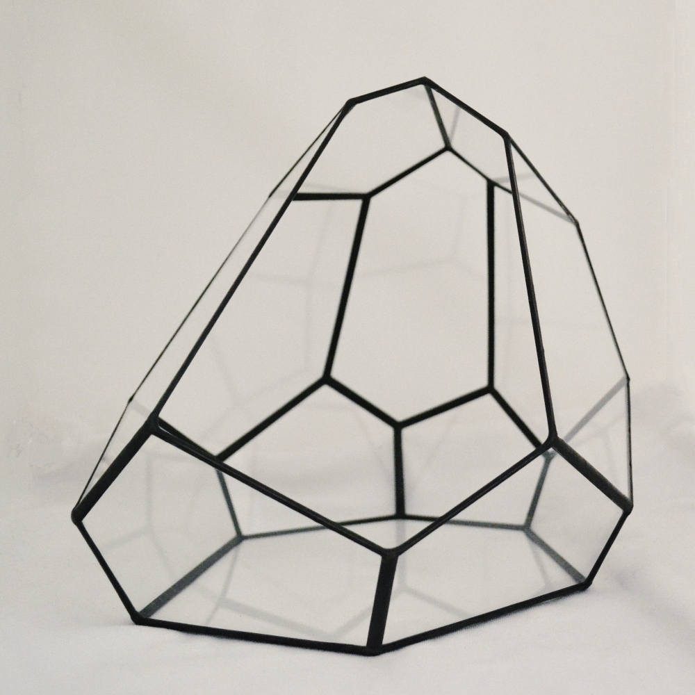 Купить набор стекл для флорариума Лавовый камень от производителя LensFill недорого в СПб