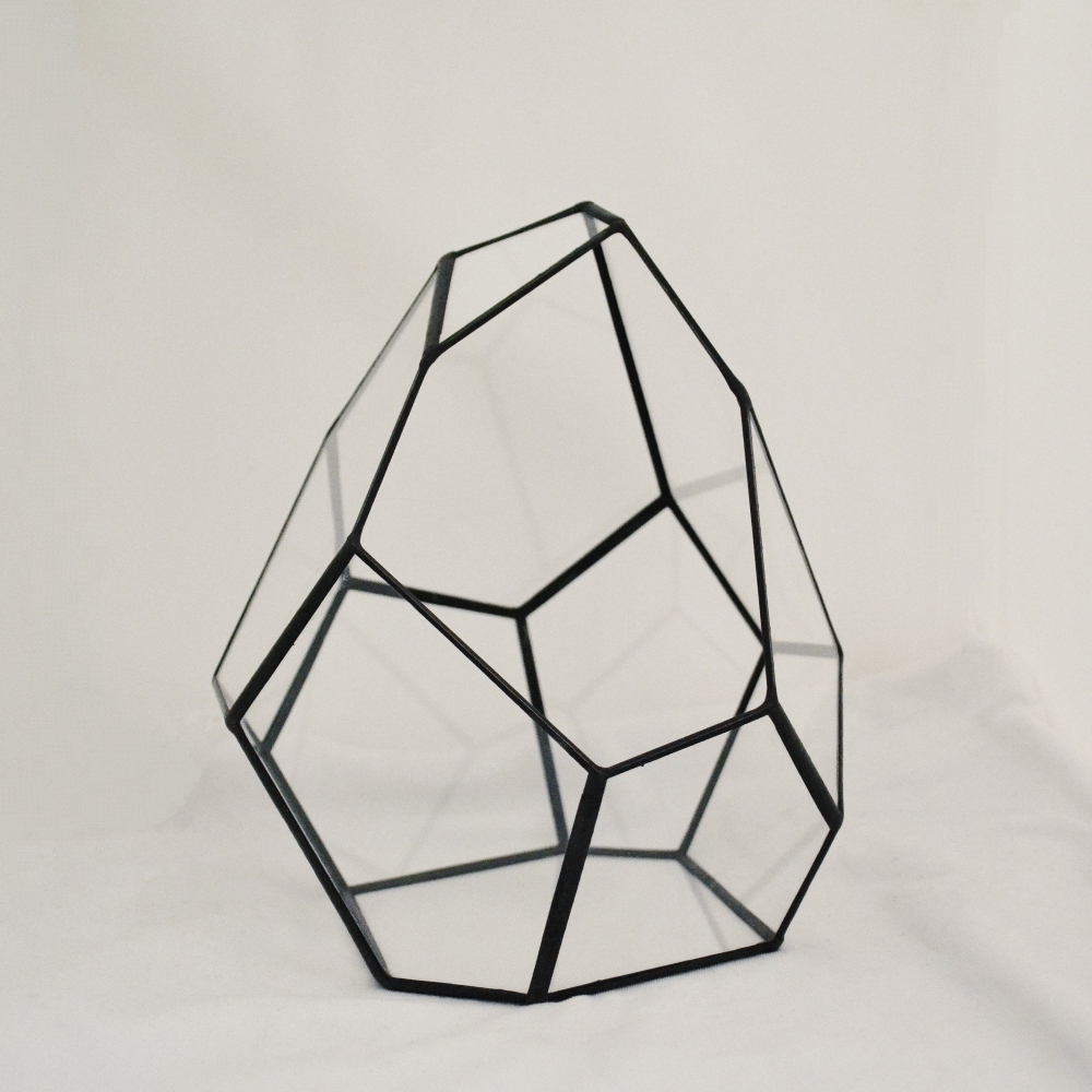 Купить набор стекл для флорариума Яйцо дракона от производителя LensFill недорого в СПб