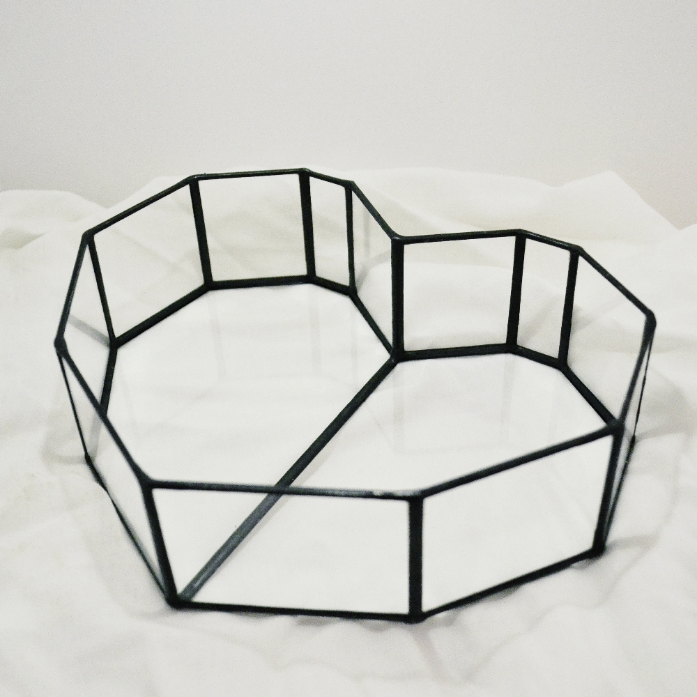 Купить набор стекл для флорариума Сердце от производителя LensFill недорого в СПб