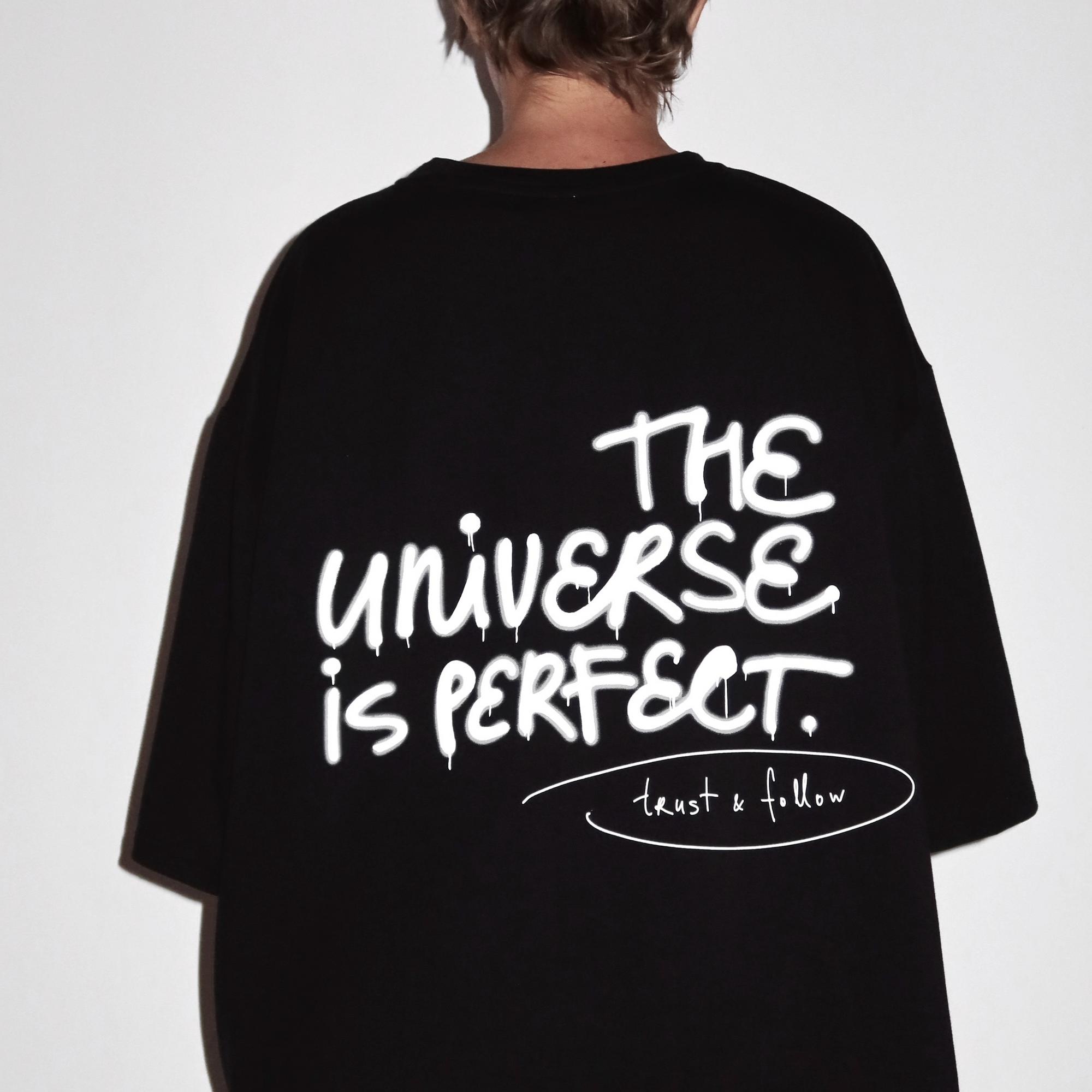 футба THE UNIVERSE IS PERFECT // trust & follow