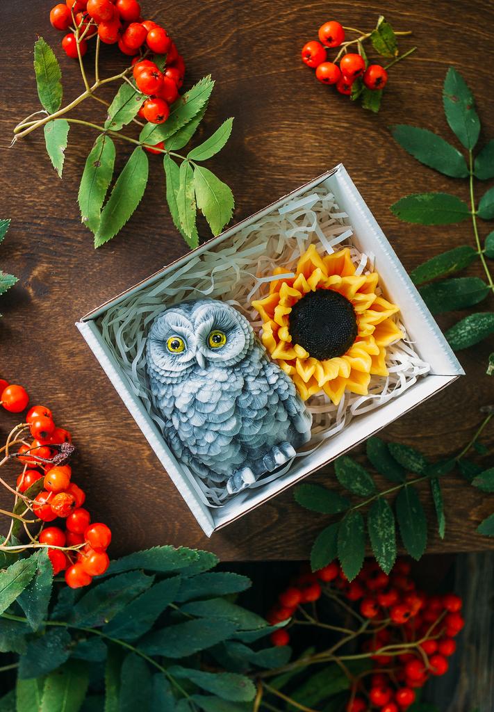 Мудрая сова с подсолнушком