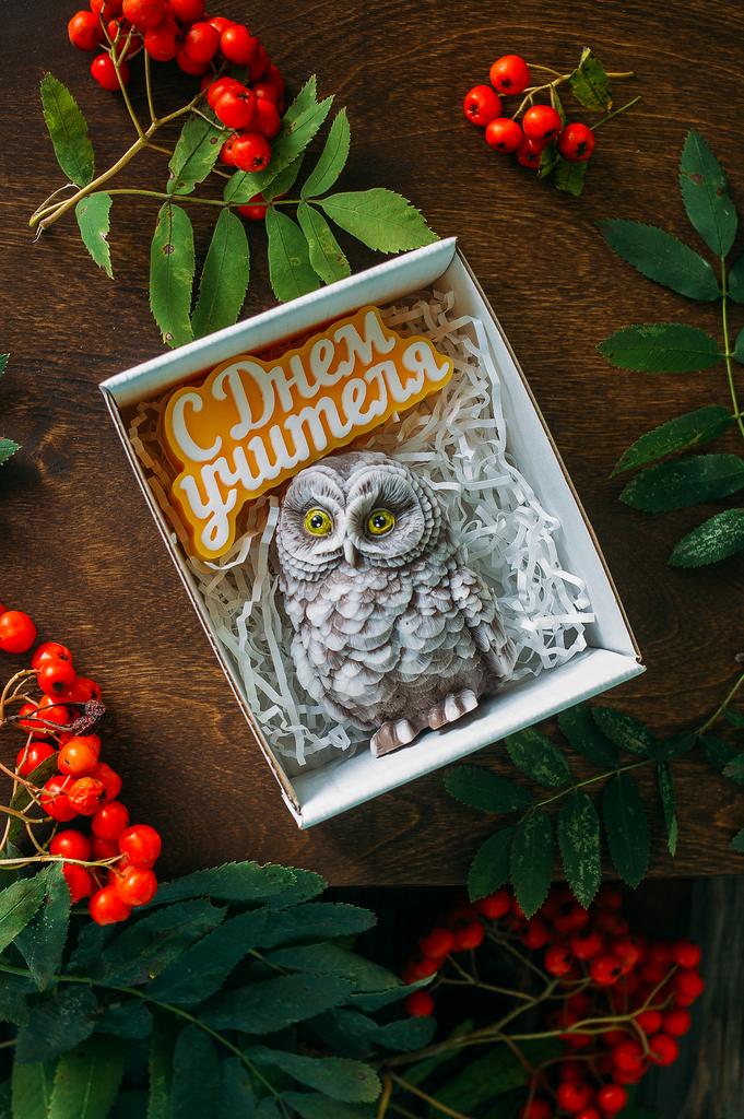 Мудрая сова - С днем учителя